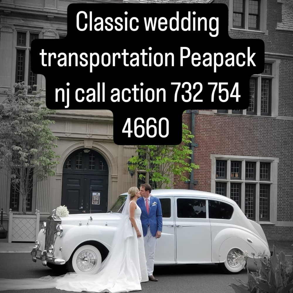 Action Limousine Inc