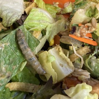 Salad and Go - Worm I found in my salad. - Salad Near Me - Tucson, Arizona Salad and Go - Worm I found in my salad. - Salad Near Me - Tucson, Arizona