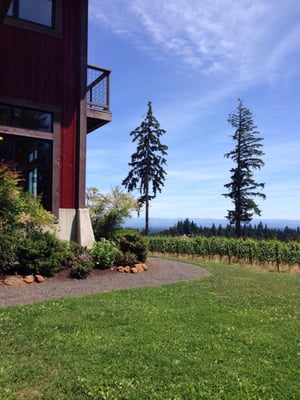 J.K. Carriere - Wine Tastings, Appointment or Walk In by null