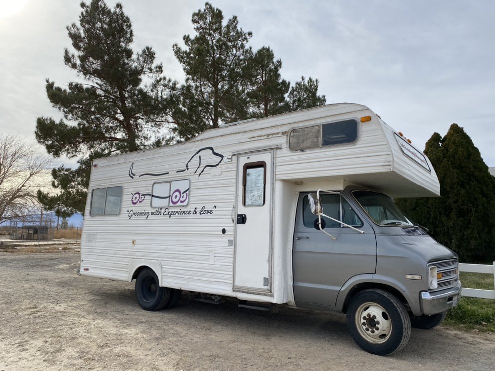 5080 Jalapa St, Pahrump, Nevada Pet Groomers Phone Number Yelp