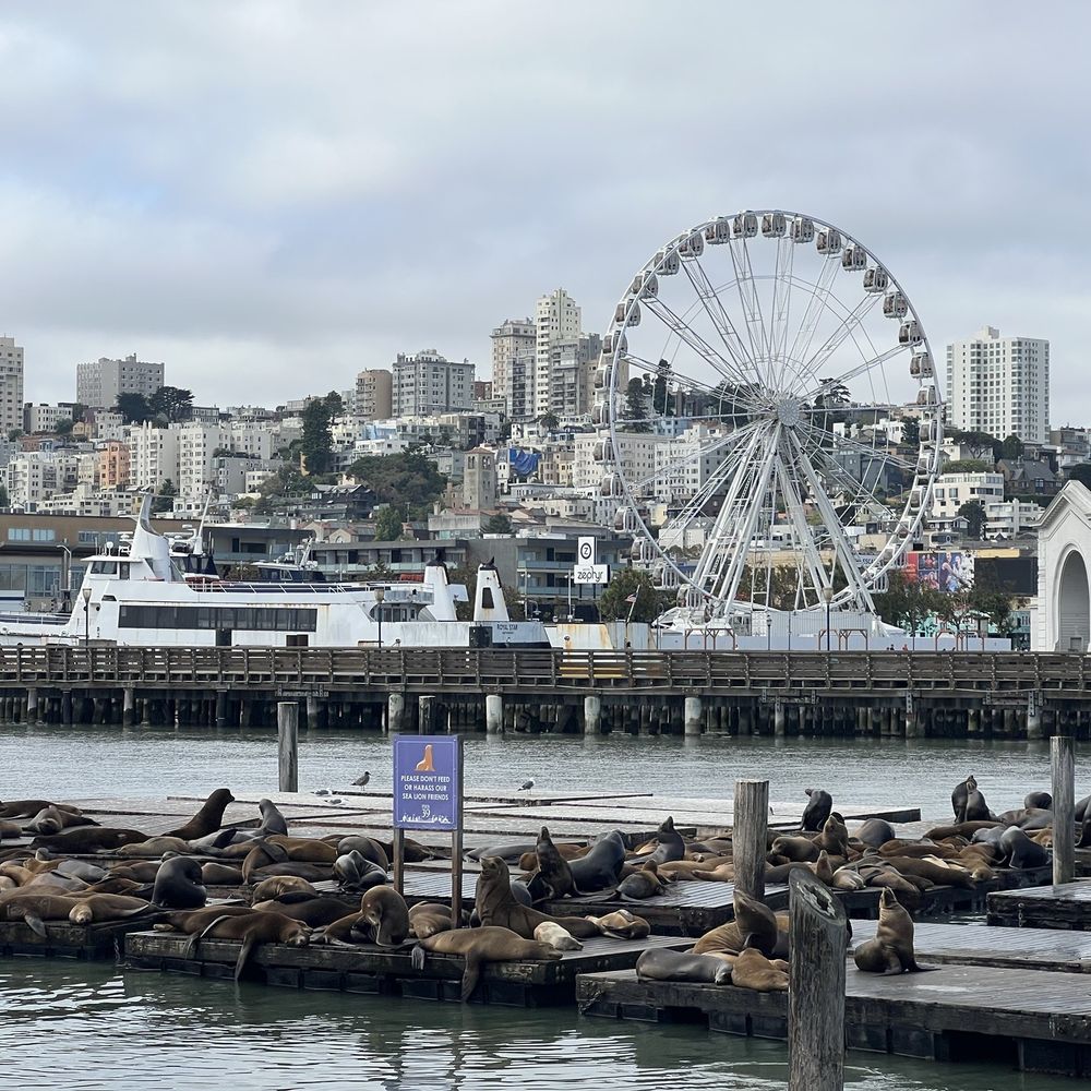 PIER 39 - Shopping Centers Near Me - San Francisco, California