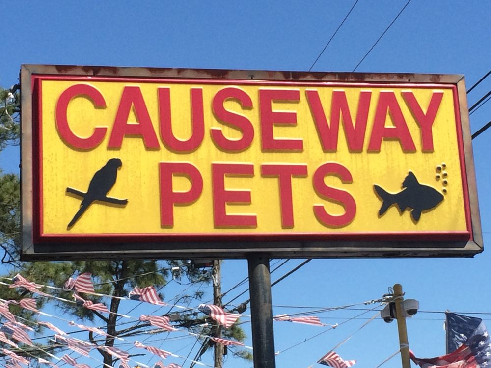 CAUSEWAY PETS 14 Reviews Aquarium Services 1114 N Causeway Blvd