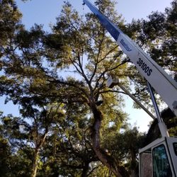 Swingblade Tree and Lawn Care
