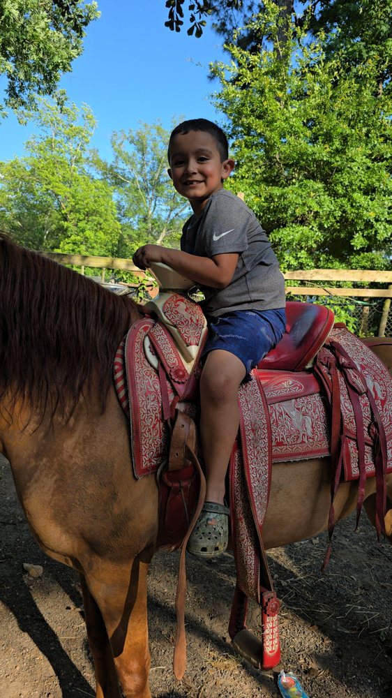 Rancho El Alacran - equestrian in Ellenwood, GA