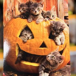 Sprouts Farmers Market - Halloween kitties