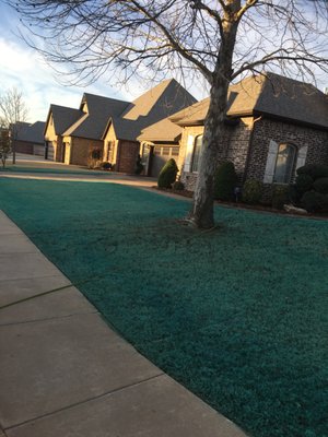 ELITE LAWN CARE Updated July - L