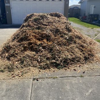 Timber Tree and Construction - Cedar chips - Tree Services Near Me - Bellingham, Washington Timber Tree and Construction - Cedar chips - Tree Services Near Me - Bellingham, Washington