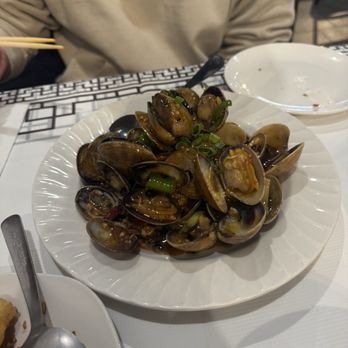 Everyday Authentic Chinese Cuisine - Clams in black bean sauce - Chinese Near Me - East Lansing, Michigan Everyday Authentic Chinese Cuisine - Clams in black bean sauce - Chinese Near Me - East Lansing, Michigan