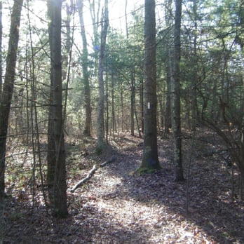 Maxwell Mays Wildlife Refuge - Hiking Near Me - Coventry, Rhode Island Maxwell Mays Wildlife Refuge - Hiking Near Me - Coventry, Rhode Island