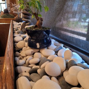 Dao Restaurant - Asian Fusion Near Me - Tallahassee, Florida