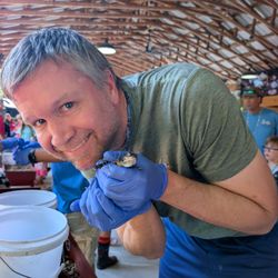 Gatorama - Hatching festival