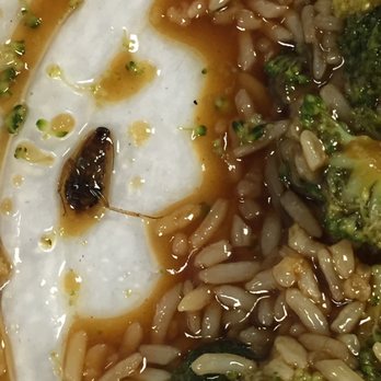 Hong Kong Chinese Restaurant - Chinese Near Me - Glenolden, Pennsylvania