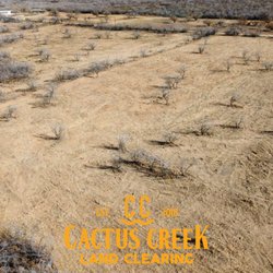 Cactus Creek Land Clearing - Cactus Creek Land Clearing's cedar mulching service