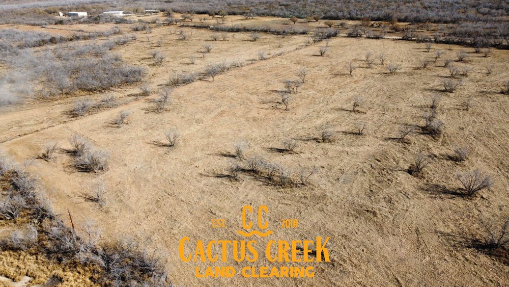 CACTUS CREEK LAND CLEARING - Updated June 2026 - 13 Photos - 2755 ...