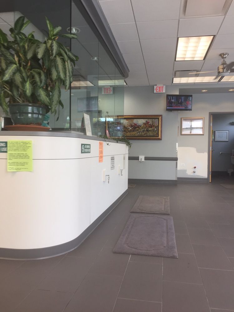 ANIMAL EYE CONSULTANTS Updated September 2024 28 Reviews 1460