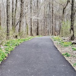 Brum Woods - Wide paved pathway on Trail 1 (Lena's Loop)
