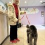 Photo of Lollipups Pet Resort