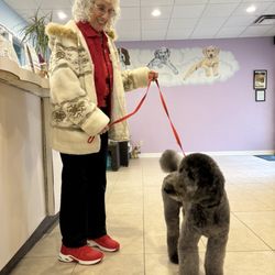 Lollipups Pet Resort