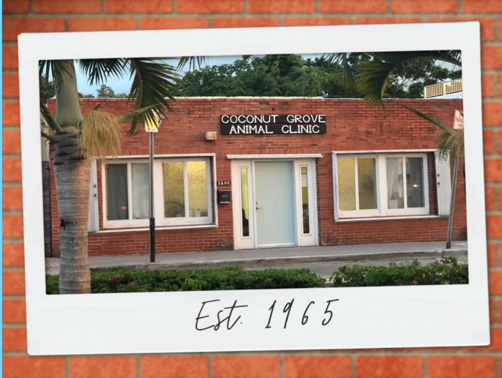 Coconut Grove Animal Clinic Image