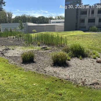 Toro's Property Service - Landscaping Near Me Toro's Property Service - Landscaping Near Me