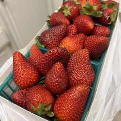Norwalk Certified Farmer's Market