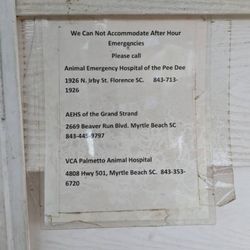 Mullins Veterinary Hospital - Small town, small vet, small support for your little family members.