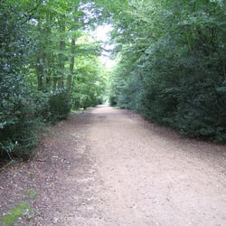 Bert's Tea Hut - Not the tea hut, pic of the area