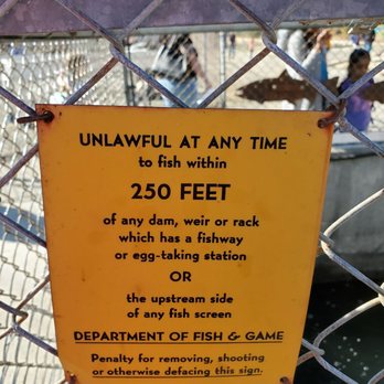 Nimbus Fish Hatchery - Helpful info should you want to go fishing near Lake Natoma - Aquariums Near Me - Gold River, California