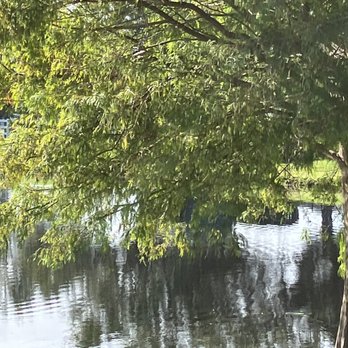Barber Park - Dog Parks Near Me - Orlando, Florida