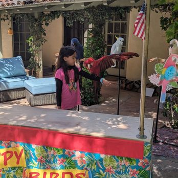 Happy Birds - Birthday girl - Party & Event Planning Near Me