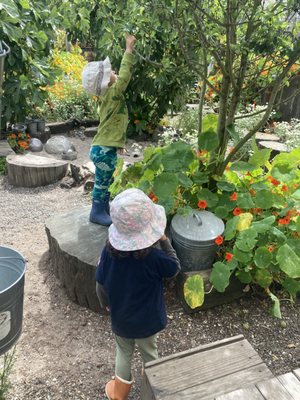 Children's Sunflower House & Garden by null