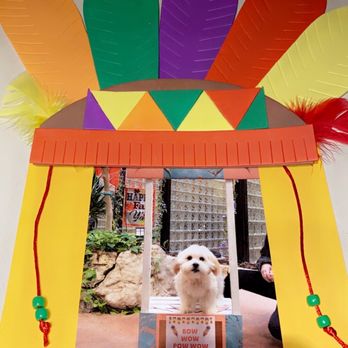 Animal Activity Center - Pet Training Near Me - Clinton Township, Michigan