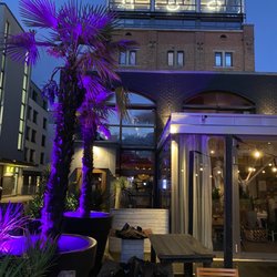 Die blaue Agave - Front view