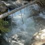 Photo of Stuart Lake Trail