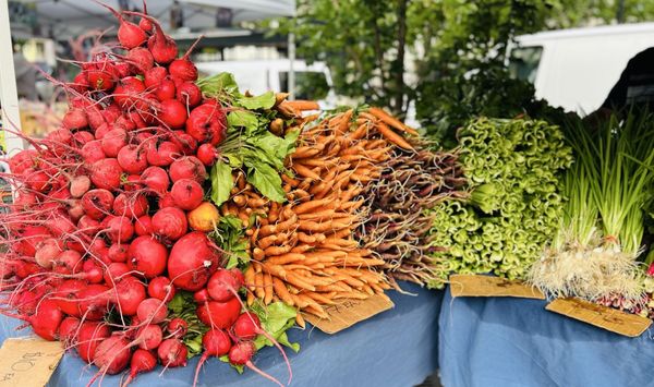 Dane County Farmers' Market by null
