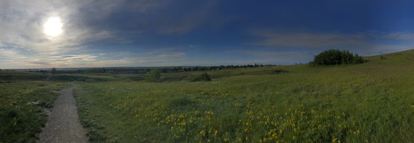 Nose Hill Park by null
