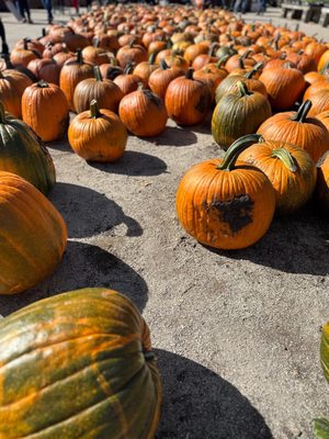 Goebbert's Farm - South Barrington by null