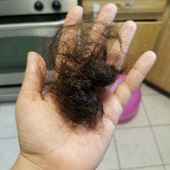 Fina & Ingrid Salon - chunks after just brushing if burnt hair confirmed my specialist. they literally burnt my hair off - Hair Salons Near Me - New York, New York Fina & Ingrid Salon - chunks after just brushing if burnt hair confirmed my specialist. they literally burnt my hair off - Hair Salons Near Me - New York, New York