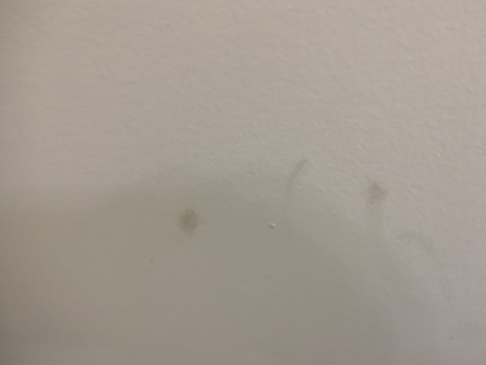 Slide of All American Plumbing