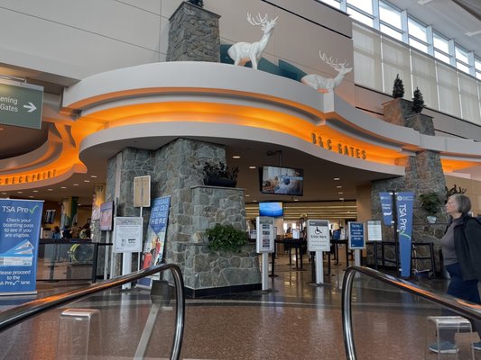 Ted Stevens Anchorage International Airport by null