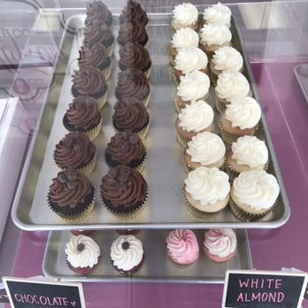 Pretty One Cake - Bakeries Near Me - Corpus Christi, Texas