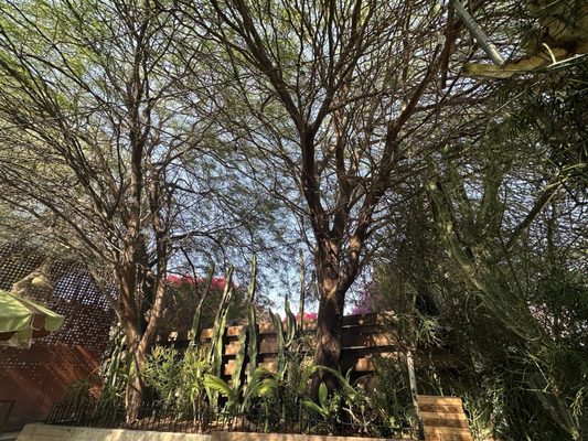 Resident by null Resident by null