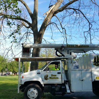 Tree & Land Masters - Tree Services Near Me - Berlin, New Jersey