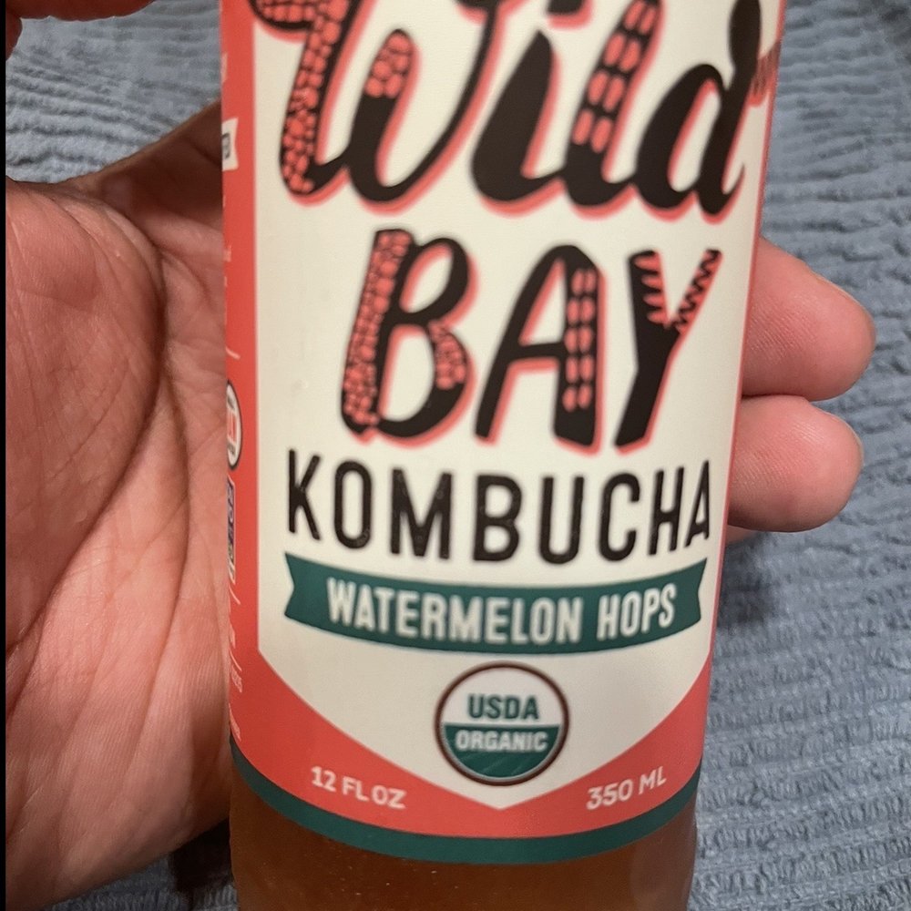 Wild Bay Kombucha - a hand holding a bottle of kombucha - Kombucha Near Me - Baltimore, Maryland Wild Bay Kombucha - a hand holding a bottle of kombucha - Kombucha Near Me - Baltimore, Maryland