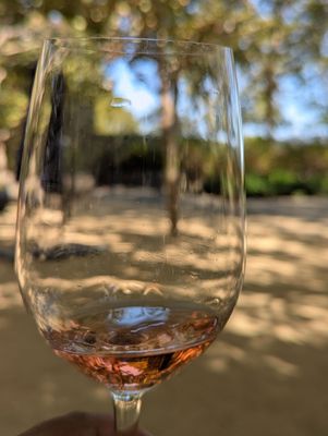 St. Supéry Estate Vineyards & Winery by null