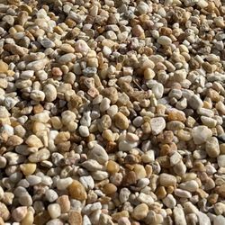 Neptune Nursery - Rock