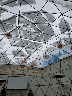 The Front Porch by null