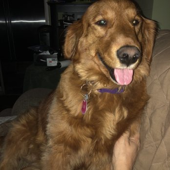 Go Go Spa - Lady after being groomed - Pet Groomers Near Me - Rosemead, California