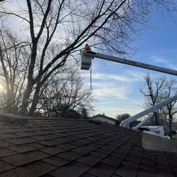 Morales Tree Service - Tree Services Near Me - Elgin, Illinois