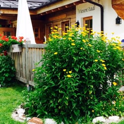 Wiesenstadl - Wiesenstadl Gutes Essen und sehr guter Wein.